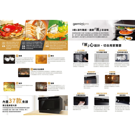 GEMINI GSO40 二合一蒸焗爐