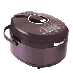 HOMEY 家美 HY-668 智能煲