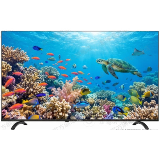 SKYWORTH 創維 50Q66K 50吋 QLED TV