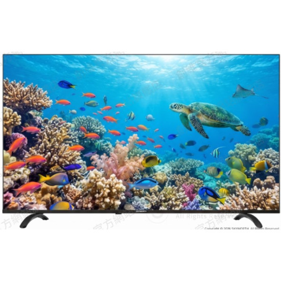 SKYWORTH 創維 55Q66K 55吋 QLED TV