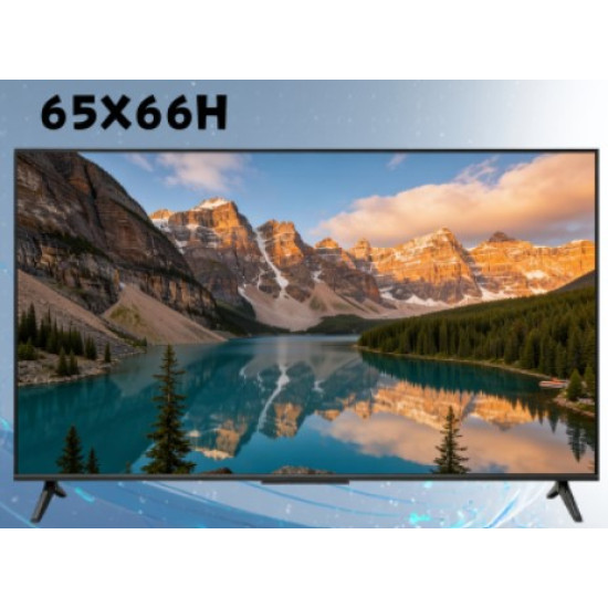 SKYWORTH 創維 65X66H 65吋 QD-MiniLED TV