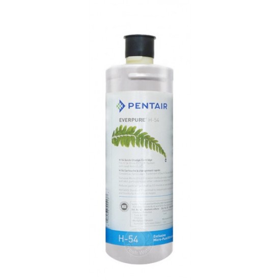 EVERPURE 愛惠浦 H54 濾芯