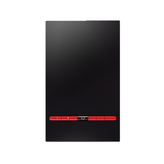 TGC 中華煤氣  RJW150SFA (黑色)  煤氣式熱水爐